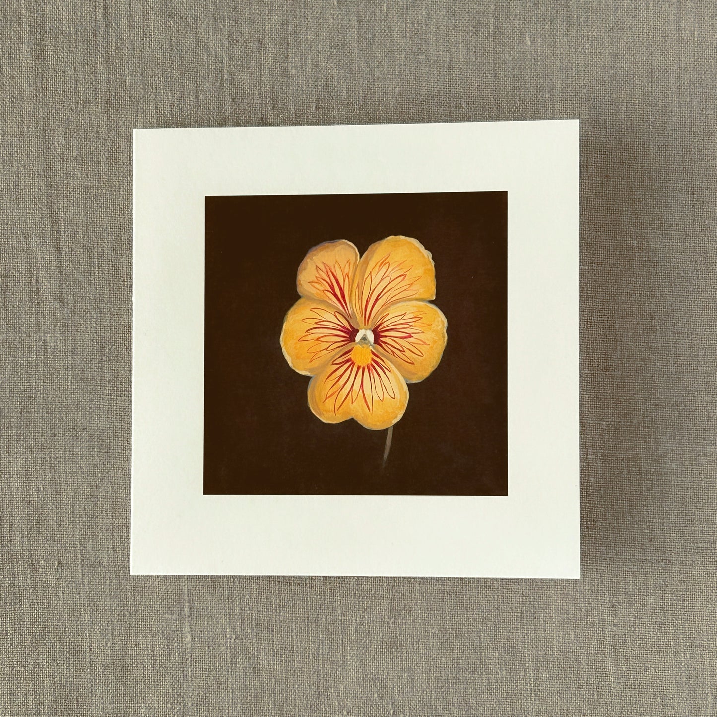 Tiger-Eye Pansy Correspondence Card | Blank Botanical Note Card