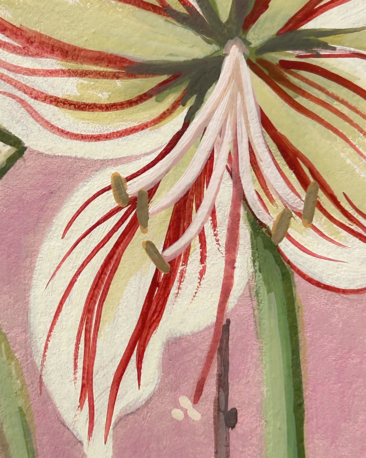 Amaryllis in Robin Pot — Original Painting on Paper