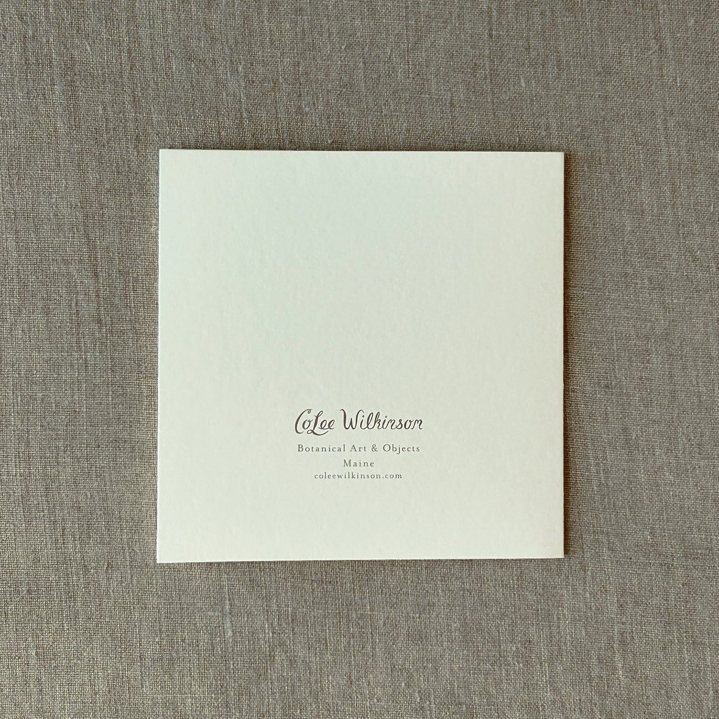 Alderbrook Yellow Blossoms Collection | Set of 3 Botanical Note Cards