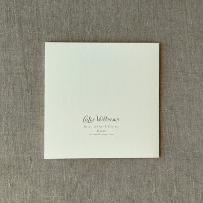 Alderbrook Yellow Blossoms Collection | Set of 3 Botanical Note Cards