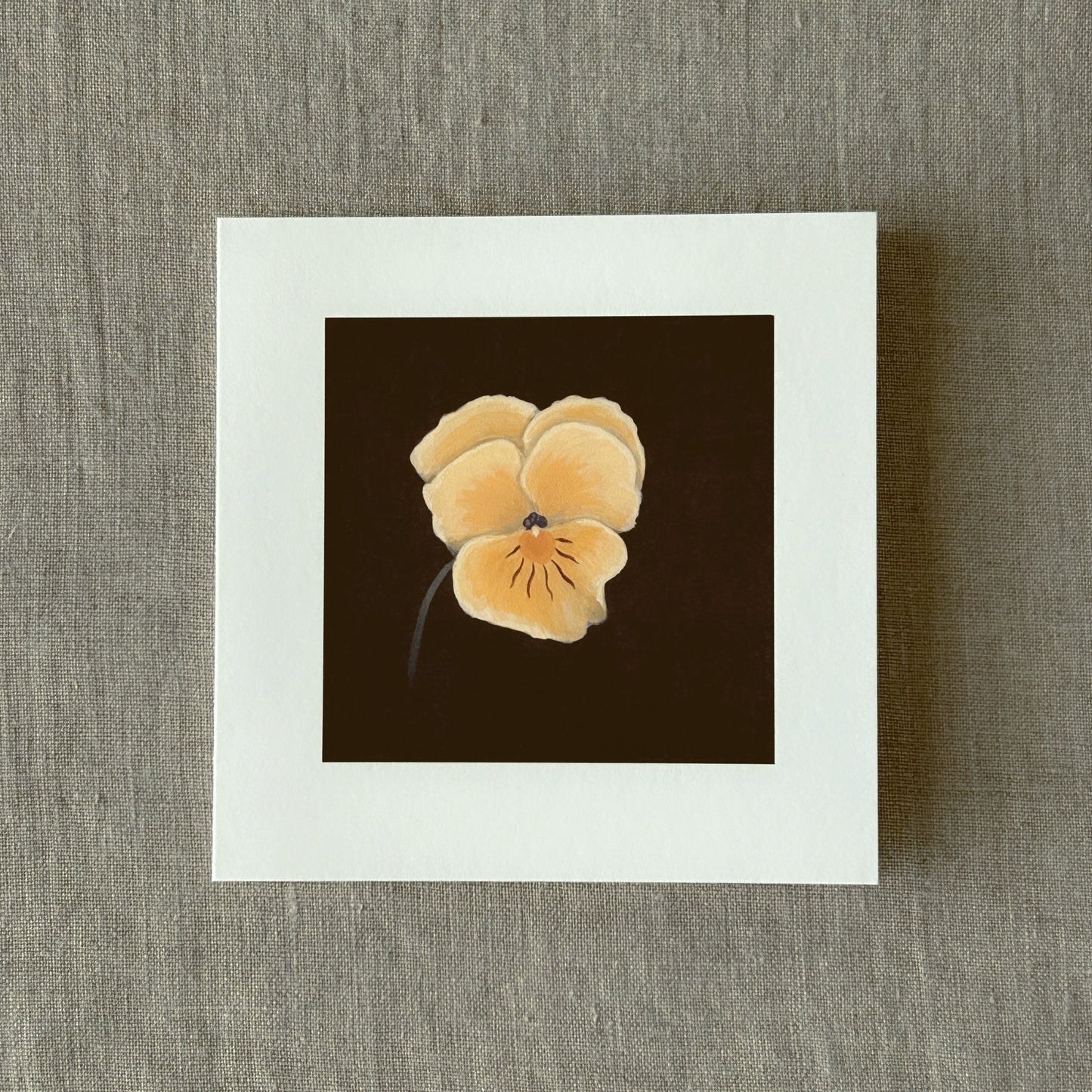 Pale Pansy Correspondence Card | Blank Botanical Note Card