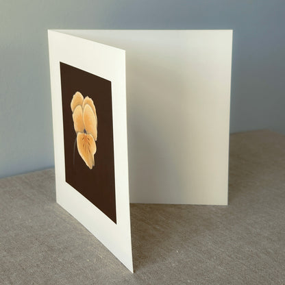 Alderbrook Yellow Blossoms Collection | Set of 3 Botanical Note Cards