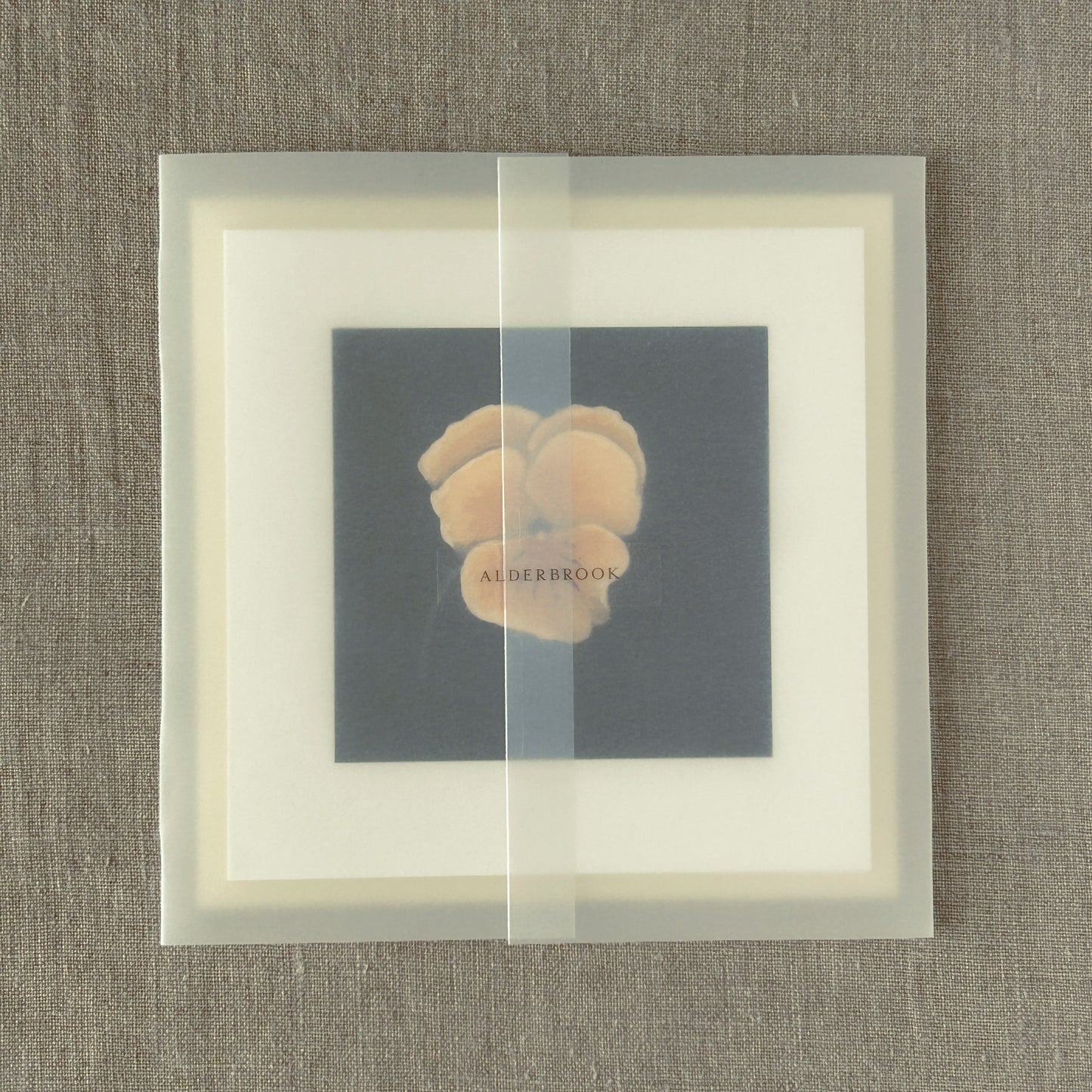 Pale Pansy Correspondence Card | Blank Botanical Note Card