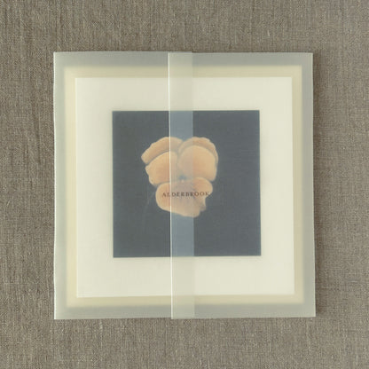 Pale Pansy Correspondence Card | Blank Botanical Note Card