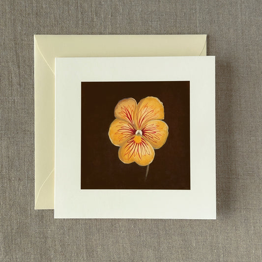 Tiger-Eye Pansy Correspondence Card | Blank Botanical Note Card