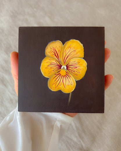 Tiger-Eye Pansy Study — Original Painting on Cradled Wood