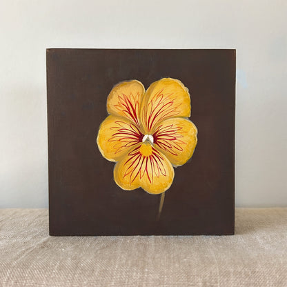 Tiger-Eye Pansy Study — Original Painting on Cradled Wood