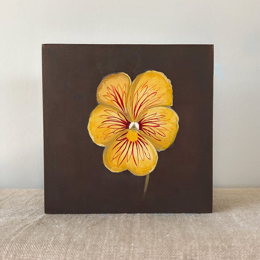 Tiger-Eye Pansy Study — Original Painting on Cradled Wood