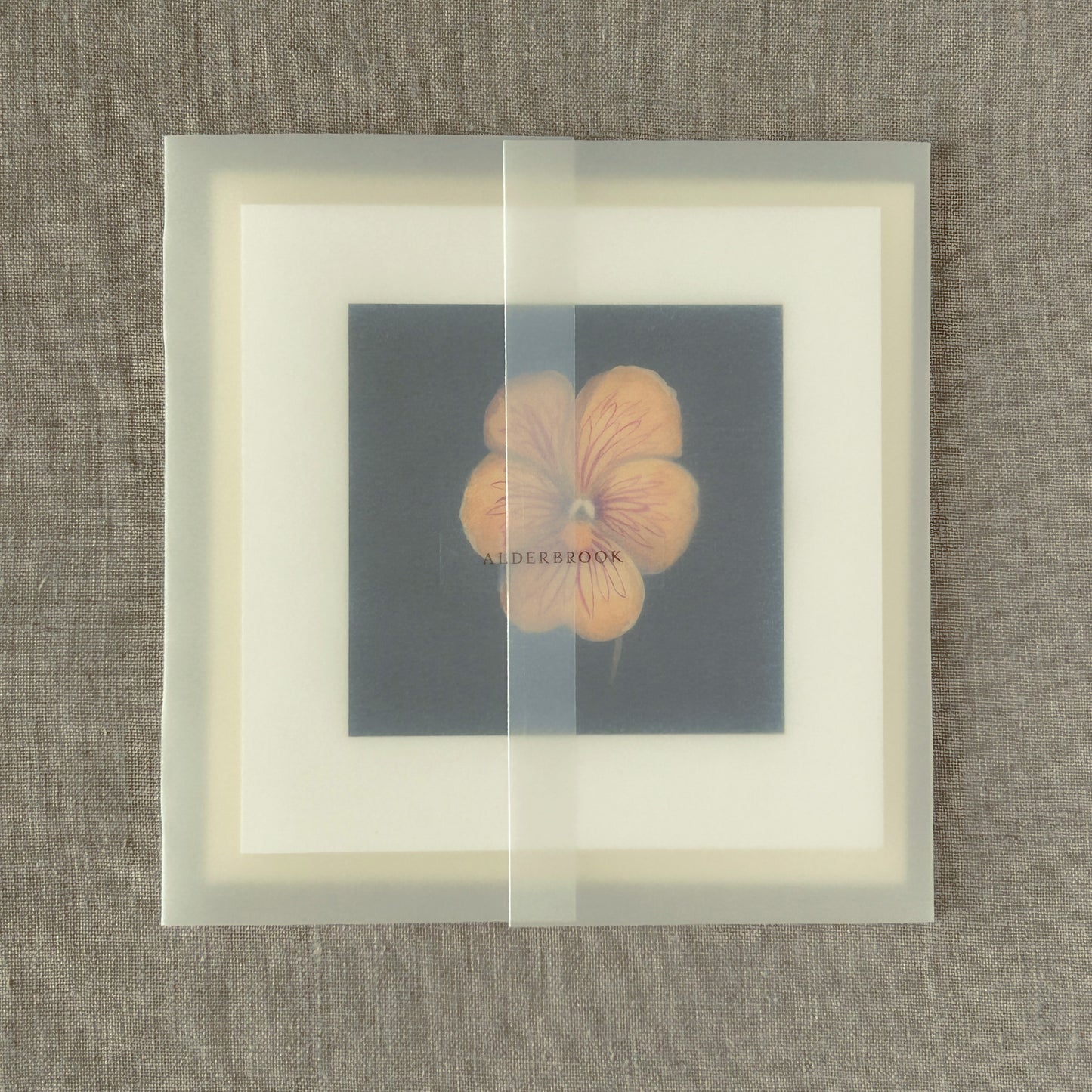 Tiger-Eye Pansy Correspondence Card | Blank Botanical Note Card