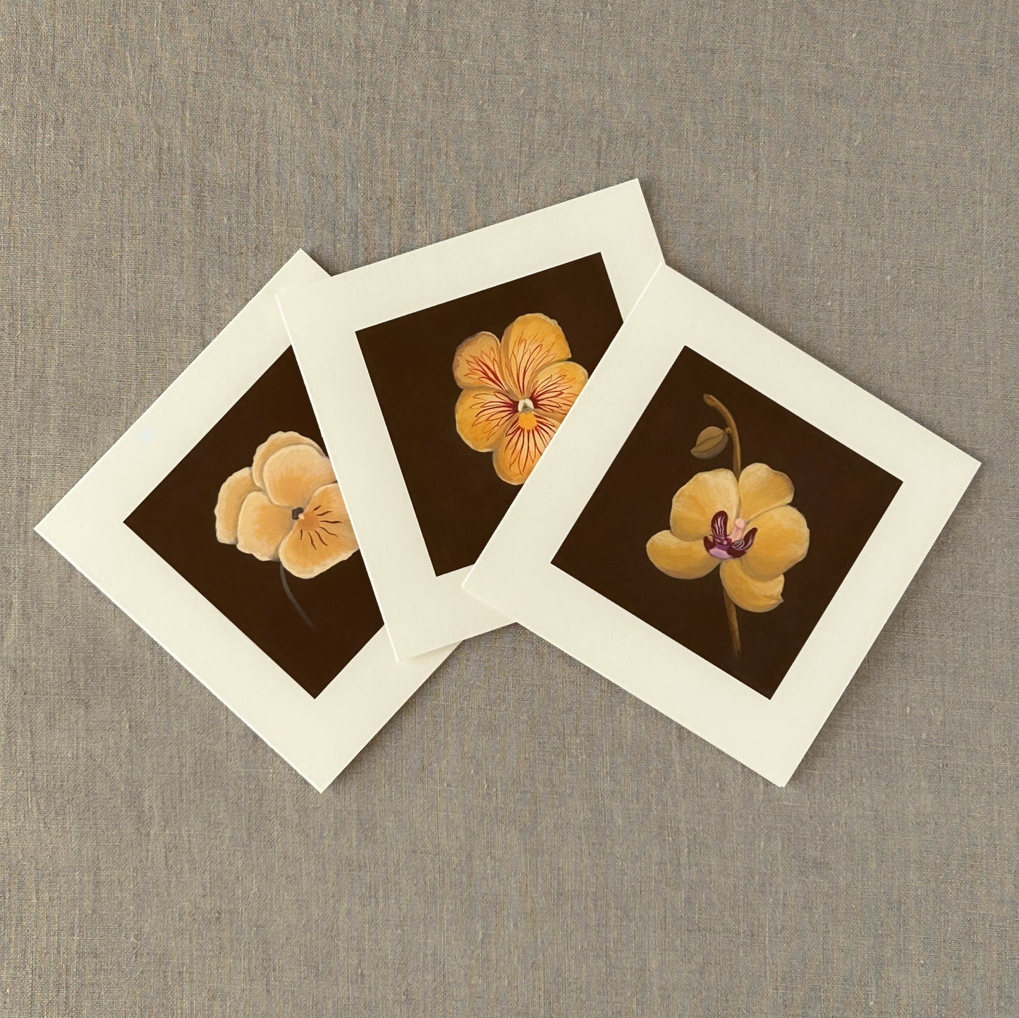 Alderbrook Yellow Blossoms Collection | Set of 3 Botanical Note Cards