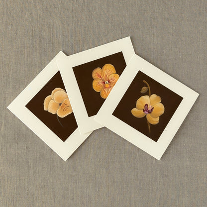 Alderbrook Yellow Blossoms Collection | Set of 3 Botanical Note Cards