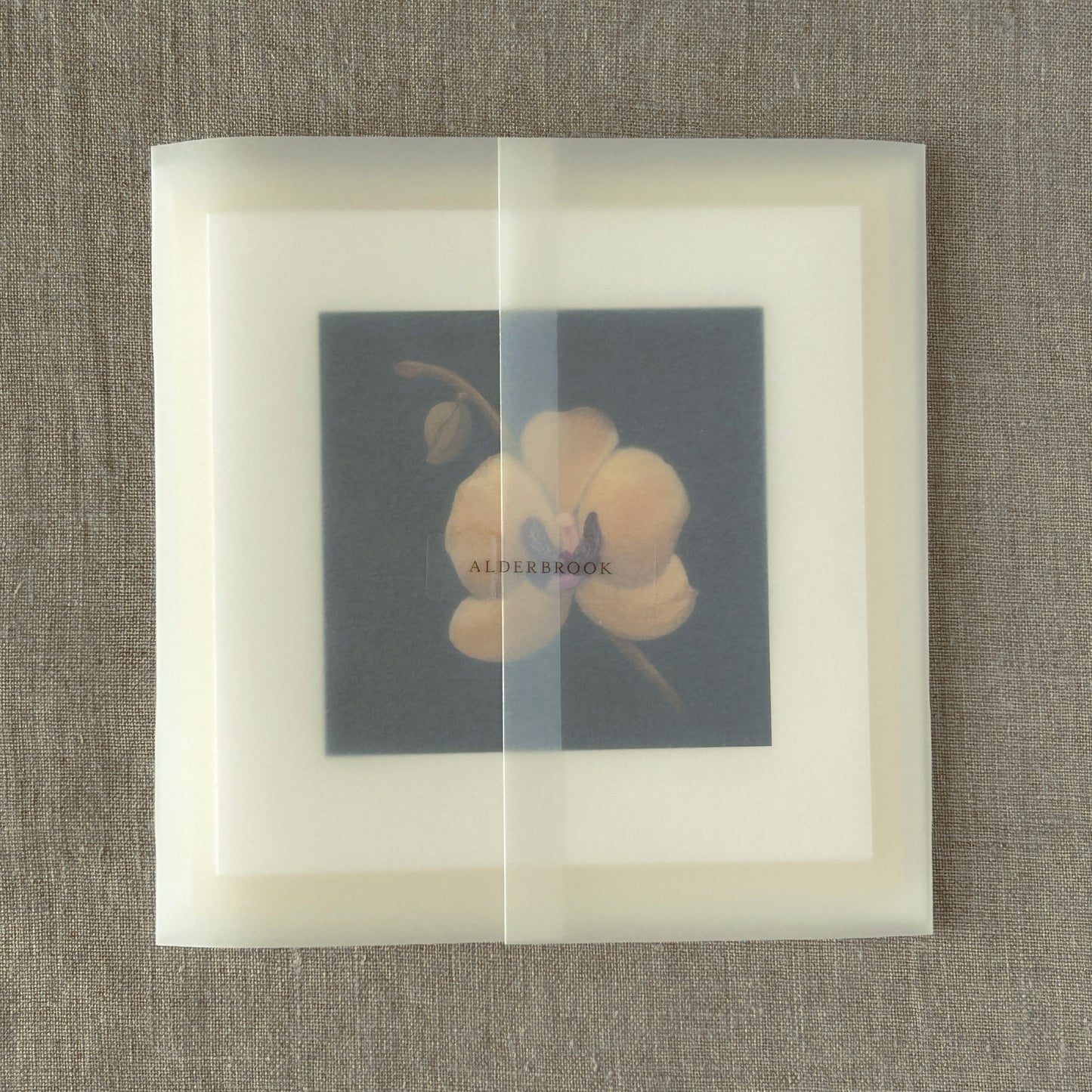Alderbrook Yellow Blossoms Collection | Set of 3 Botanical Note Cards