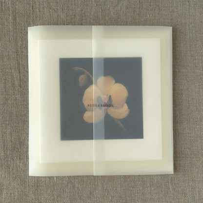 Alderbrook Yellow Blossoms Collection | Set of 3 Botanical Note Cards