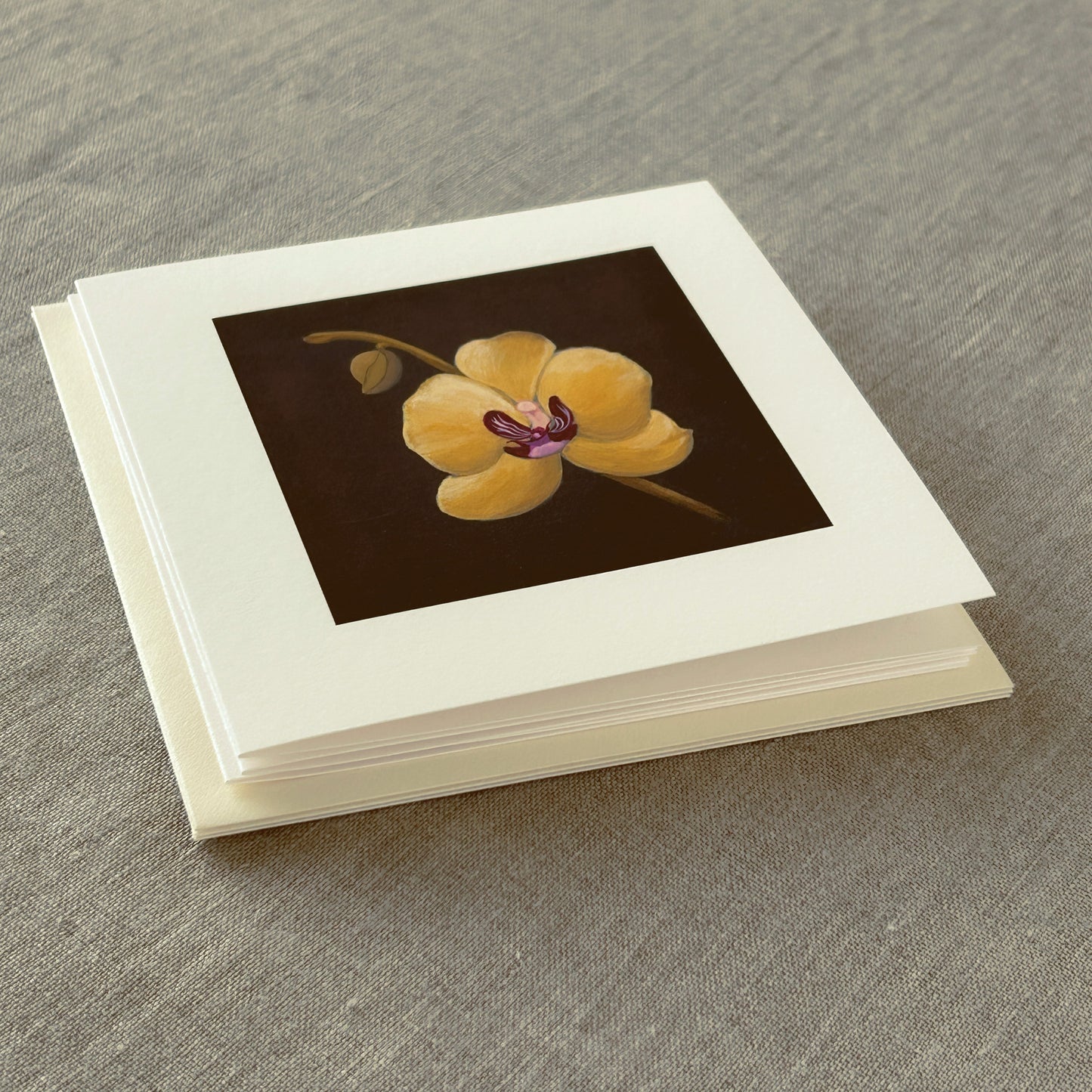 Alderbrook Yellow Blossoms Collection | Set of 3 Botanical Note Cards