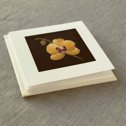 Alderbrook Yellow Blossoms Collection | Set of 3 Botanical Note Cards