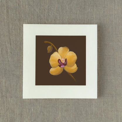 Yellow Orchid Correspondence Card | Blank Botanical Note Card