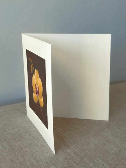 Yellow Orchid Correspondence Card | Blank Botanical Note Card