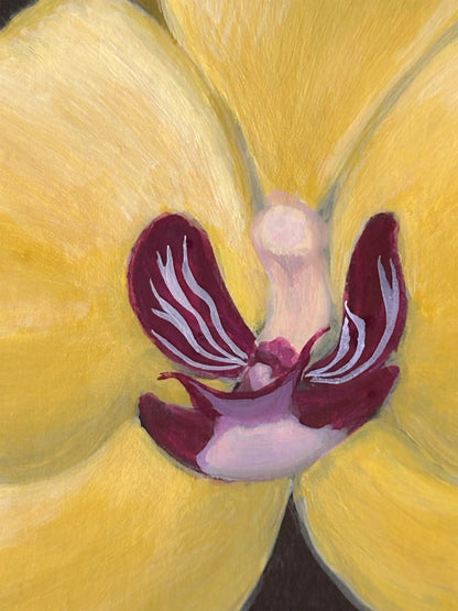 Yellow Orchid Study — Original Painting on Cradled Wood