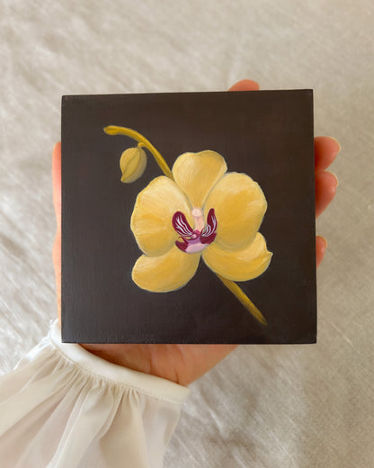 Yellow Orchid Study — Original Painting on Cradled Wood