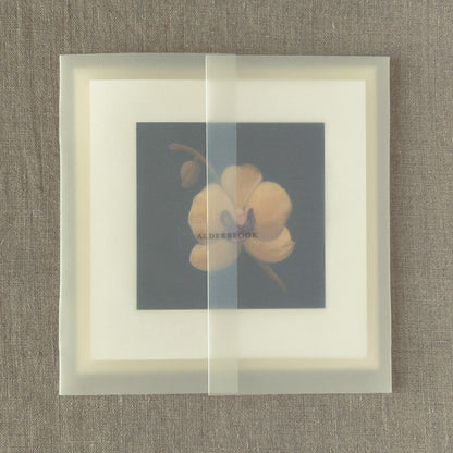 Yellow Orchid Correspondence Card | Blank Botanical Note Card